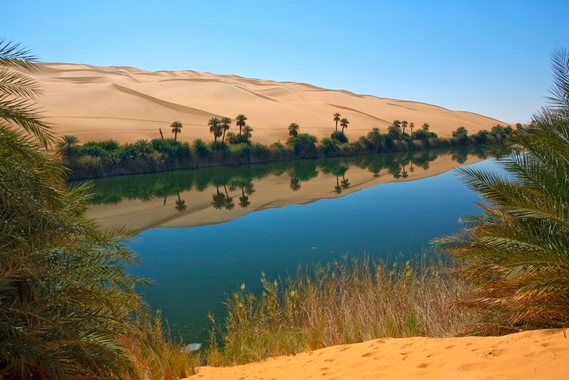 Những[-]sự[-]thật[-]bất[-]ngờ[-]về[-]sa[-]mạc[-]Sahara[-]